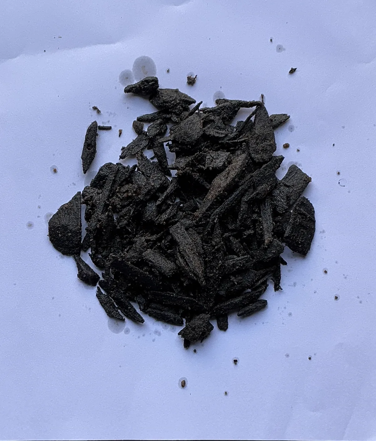 Agarwood (oud) chips before grinding for bakhoor